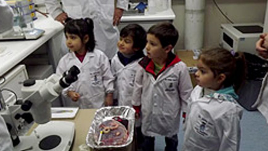 Proyecto de Explora Conicyt:  “Científicos” preescolares  cierran el año con visita a  Hospital UC