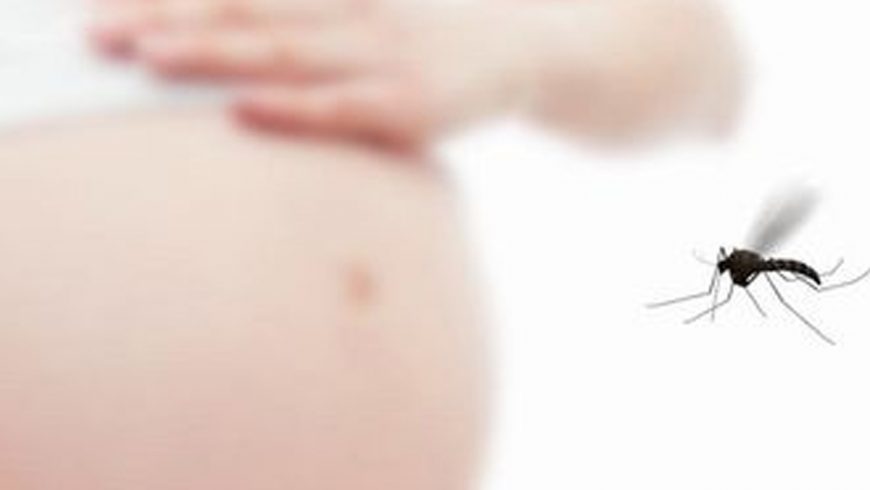 Virus Zika ataca el sistema nervioso central inmaduro de bebés en gestación